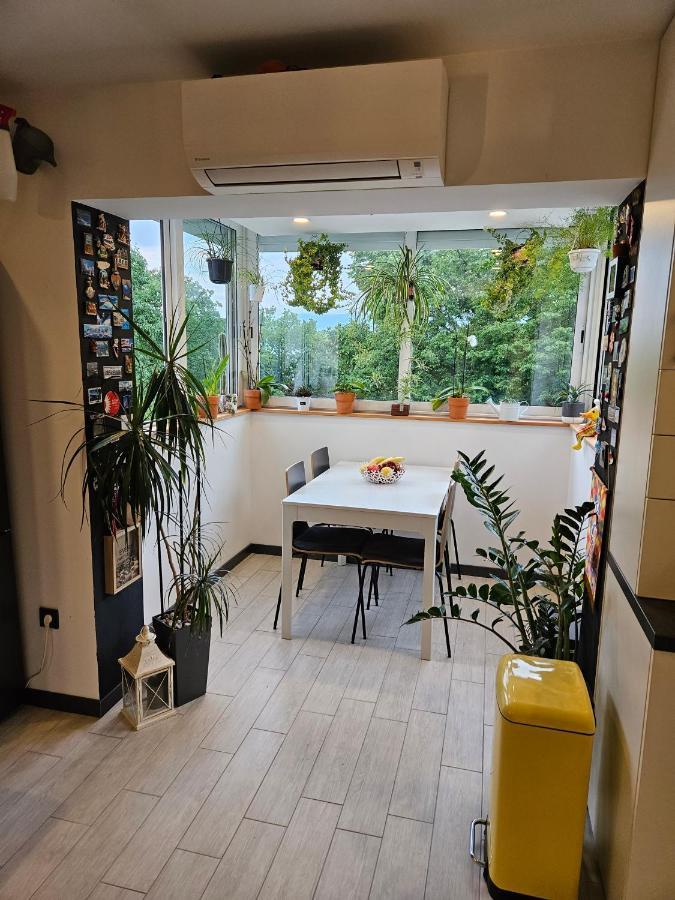 Apartman Carnevalus 리예카 외부 사진